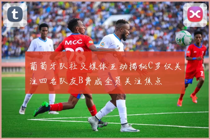 葡萄牙队社交媒体互动揭秘C罗仅关注四名队友B费成全员关注焦点